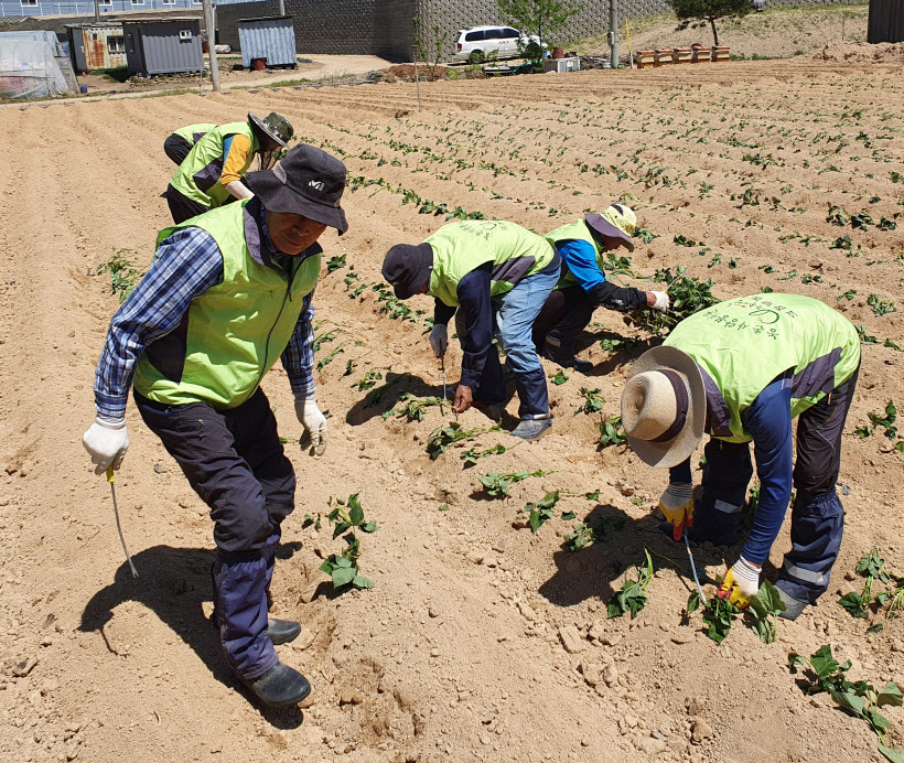의정부농협영농작업반