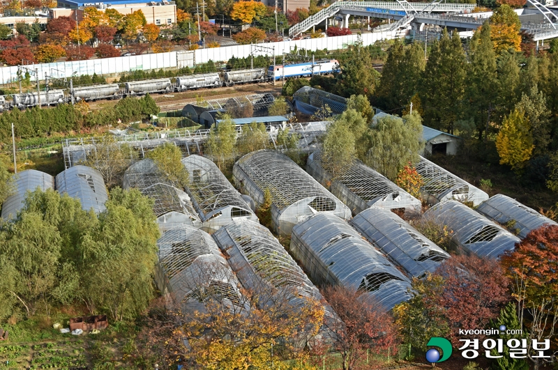 2020110301010001293.jpg