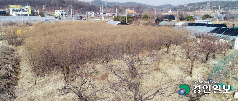 시흥투기12