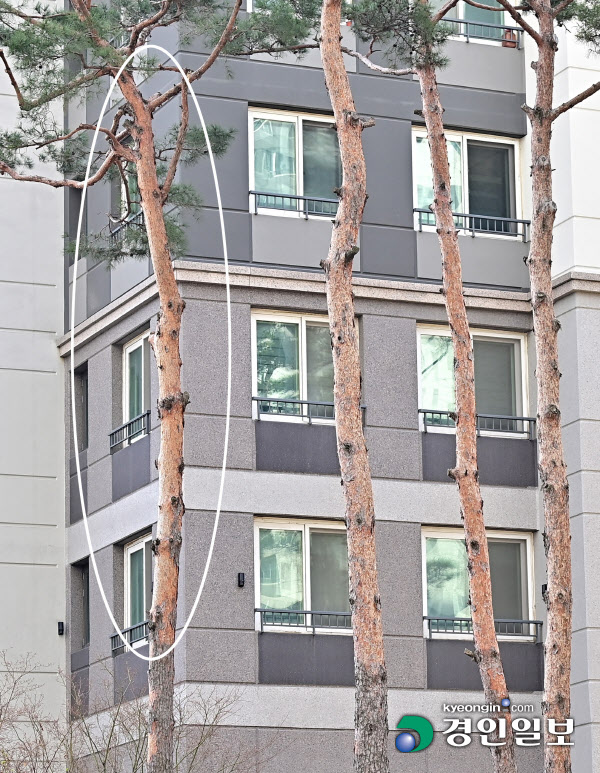 인천SK스카이뷰 아파트 나무 산성 높아 부적합
