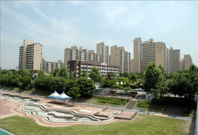느티 이미지