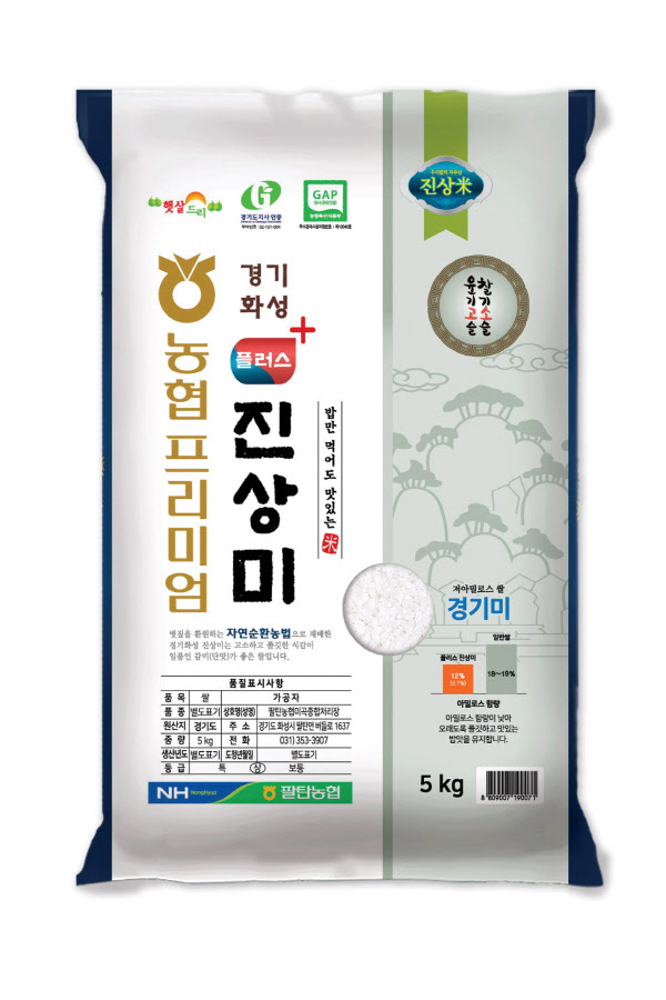 진상미10입체
