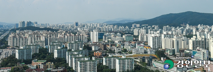 864871.jpg