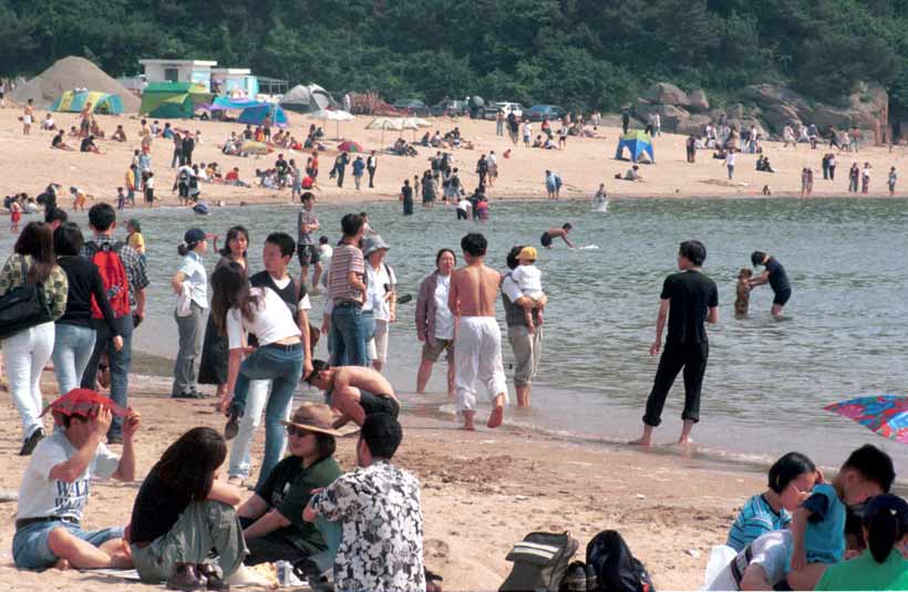 2001-휴가-바다찾은시민들.jpg