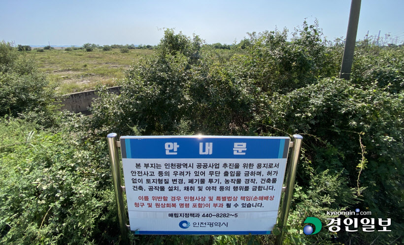 영흥 에코랜드 부지