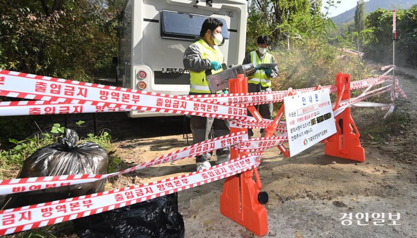 안성 젖소 농장 럼피스킨 발병 (20)