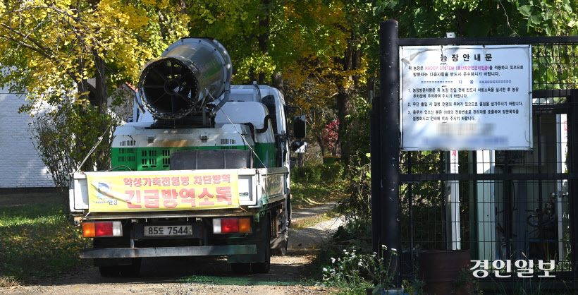 안성 젖소 농장 럼피스킨 발병 (16)