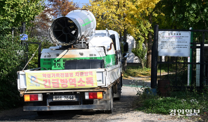 안성 젖소 농장 럼피스킨 발병 (14)