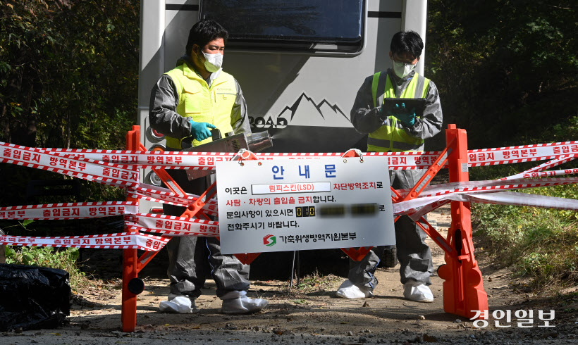 안성 젖소 농장 럼피스킨 발병 (10)