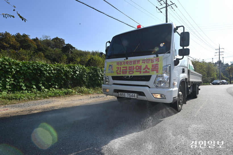 안성 젖소 농장 럼피스킨 발병 (24)