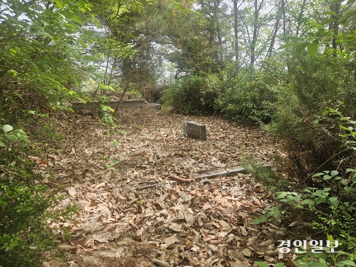 26일 천주교 용인공원묘원 내 묘지가 낙엽에 덮여있다. 2024.4.26 /김지원기자 zone@kyeongin.com