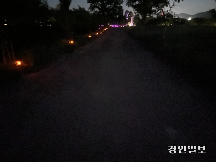 지난 8일 오후 9시 꽃 페스타를 앞둔 가평 자라섬 중도 제방 산책로 약 200m 구간에 흐릿한 안내등만 켜져 있어 야간 이용객들이 불편을 겪고 있다. 2024.5.8 가평/김민수기자 kms@kyeongin.com