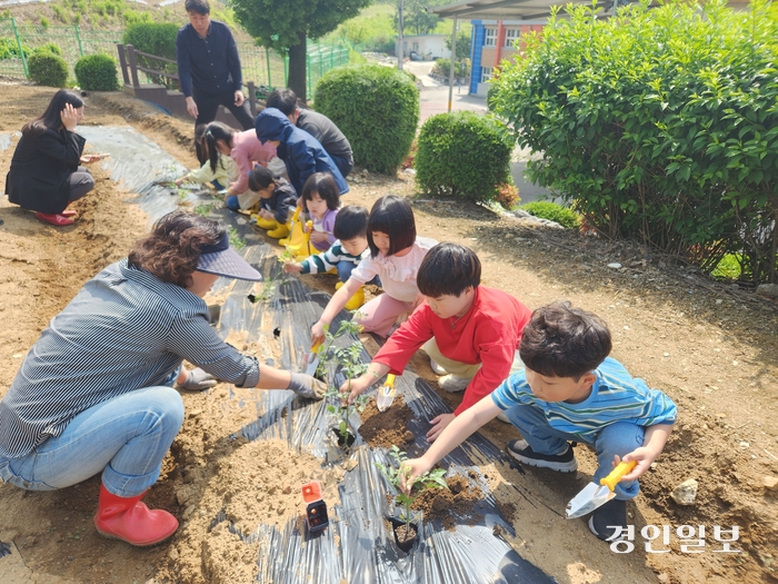 연천군 궁평초등학교는 지난 10일 전교생을 대상으로 학교텃밭 체험행사를 가졌다.2024.5.10./궁평초제공