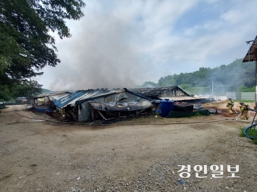 사진은 화재 현장. 2024.5.25 /경기도소방재난본부 제공