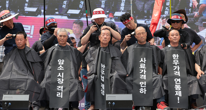 3일 서울 영등포구 여의도 국회의사당역 앞에서 열린 전국 한우농가 한우산업 안정화 촉구 한우 반납 투쟁에서 전국한우협회 임원들이 삭발을 하고 있다./연합뉴스