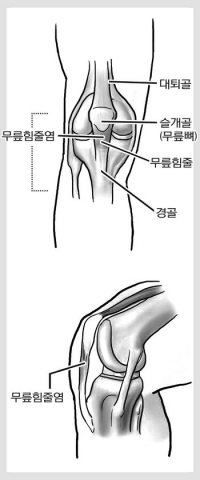 [윤승현·이두형 교수의 스포츠 의학 클리닉·6]배드민턴