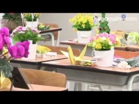 [영상]세월호 참사 1주기… 안산 단원고 시계는 아직도 '2014년 4월 16일'