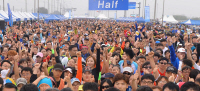 [2015 평택항 마라톤대회] ‘그림같은 가을항구’ 해풍 품에 안고 낭만의 레이스