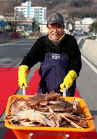 [新팔도유람] 경북영덕 '대게축제' 강구항으로 뽀얀 살맛보러 오이소~