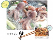 [新팔도유람] 해산물과 꽃의 향연 '충청권 축제'