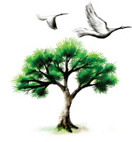 [인천의 詩, 인천을 짓다·10] 박목월作 '松鶴(송학)'