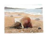 [인천의 詩, 인천을 짓다·14] 조병화作, 소라