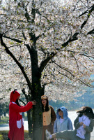 [포토]꽃잎만 봐도 '까르르'