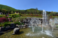 [제16회 푸른인천글쓰기대회… 발걸음 멈추게 한 '명소 2選']계양산 산림욕장 장미원