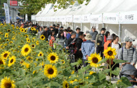 [경기도 농산물 직거래 대잔치]농민과 시민 행복, 직거래로 잘 버무린 건강한 밥상