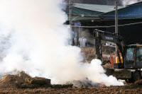 '구제역을 막아라' 설 명절 반납하고 사력 다한 방역