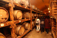 [新팔도유람]5월 알뜰한 경기도 여행 3선