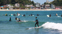 [新팔도유람]'서퍼들의 성지, 양리단' 강원도 양양 죽도·인구해변