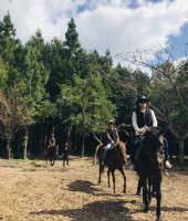 [新팔도유람]가을과 겨울사이, 섬으로 떠나는 로캉스