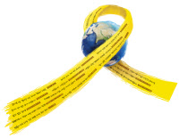 [세월호 그후, 또 4월이 간다·(3·끝)우리의 미래-세월호 세대]전세계에 각인된 이름… 6주기 추모 '메시지'