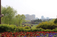 [新팔도유람]대전시민의 심장 '한밭수목원'