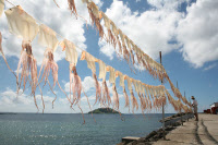 [新팔도명물]7대 제주 향토음식