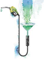 [新서해견문록-'미래 자원' 해양바이오]말라가는 육지자원 '미지의 대안'… 흘려보낼수 없는 '가능성의 바다'