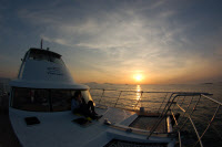 [新서해견문록·(2)신성장동력 마리나·해양레저]요트에서 커피 한 잔 '바다를 누리다'