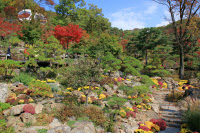 지친 마음, 숨겨진 길이 보듬어준다… 광주시 길조성 프로젝트