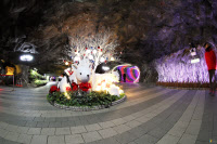 [FOCUS 경기]광명동굴 개장 10년 '성과와 비전'