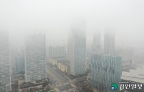 [통 큰 기사-레벨업 경제자유구역]내·외부적 도전에 흔들