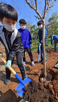 [포토]식목일 '나무 심는 꿈나무'
