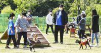 [경인 WIDE-'반려동물 보유세' 도입 논란]반려동물 놀이터, 누구 돈으로 지어야 하나