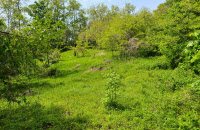 [경인 WIDE-산성은 지금도 우리를 지켜준다·(1)] 토지주 거부에 방치된 '복원'… "기본조사 강제화·현실적 보상을"