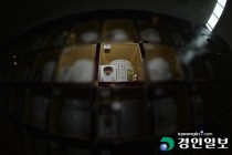 [경인 WIDE] 현실과 맞지 않는 '아동학대 양형 기준'… 처벌규정 보다 세분화를