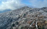 [포토데스크] 발왕산에 '첫 눈'… 흰옷 입은 가을 단풍