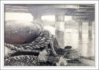 [제24회 바다그리기 대회] 문화체육관광부장관상┃인천동방중3 최정욱