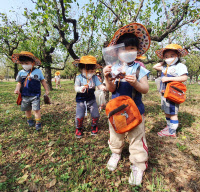[新팔도명물] 최대 주산지·최고 품질 '경북 경산대추'