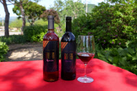 [술을 빚다, 흥에 취하다: 우리동네 술도가를 찾아서·(14)] 가평 특선주 와인 '재즈 아일랜드'