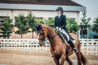 [경인 체육 유망주 The 챌린저·(91)] 수원여고부설방송통신고 승마 채미소